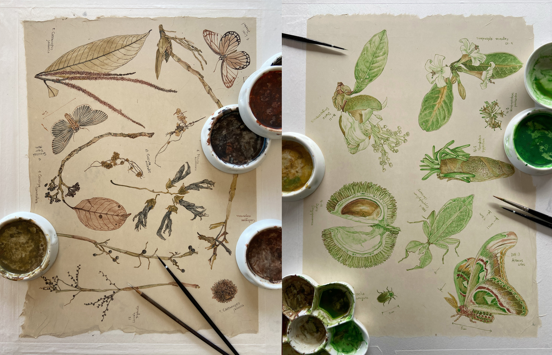 In Green - Garden  Wallpaper Singapore 2026 
Irozumi 色墨 (Colored ink stick) on Japanese paper